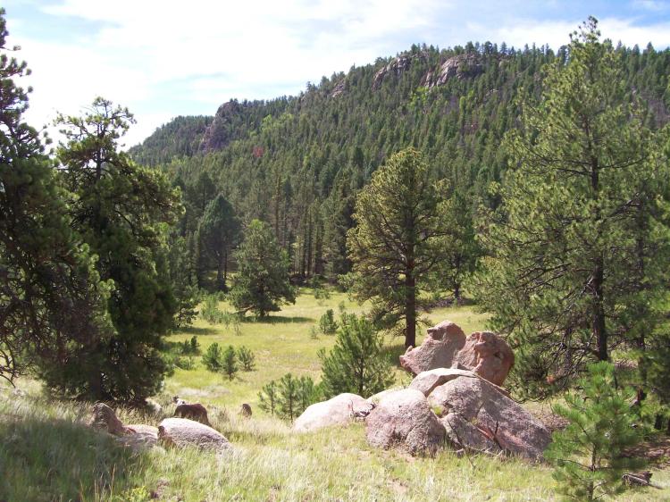 Beasley Hills Ranch Lot 2