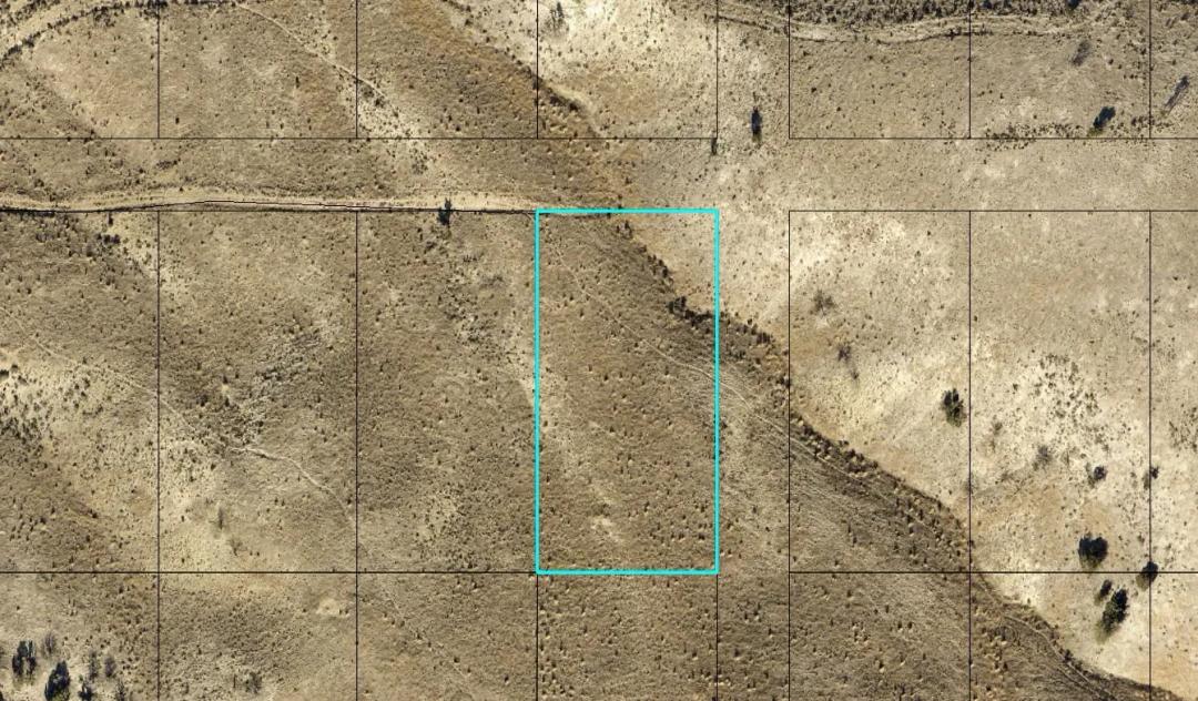 L40052-1 1.03 Acres in Elko County, Nevada $5,999