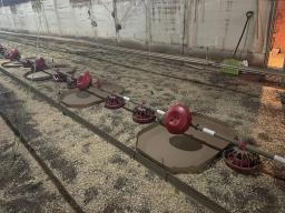 96486124-31