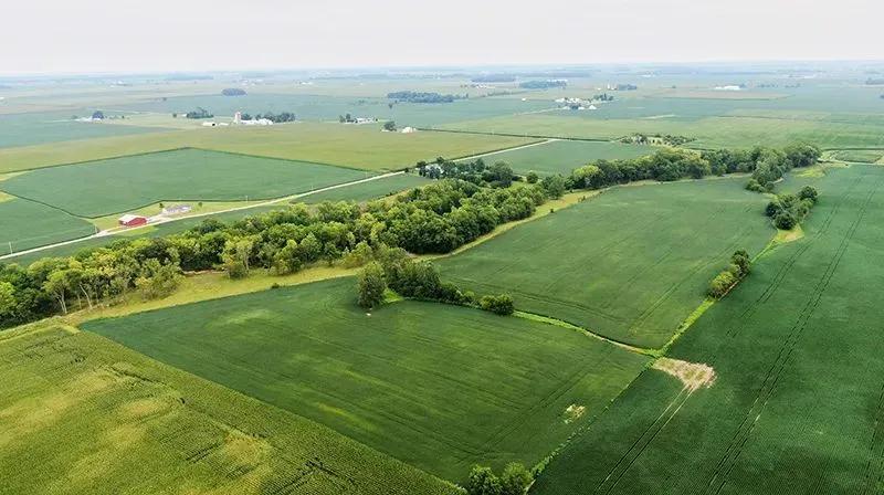 Sweet Farm - Henry County