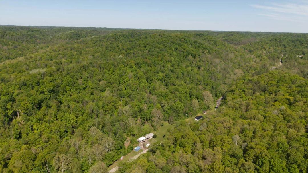 Washington County Ohio Land for Sale | Wayne National Forest