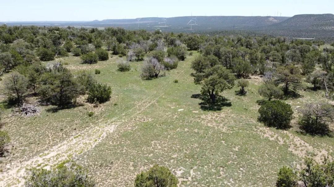 Lot 16 Swayback Trail