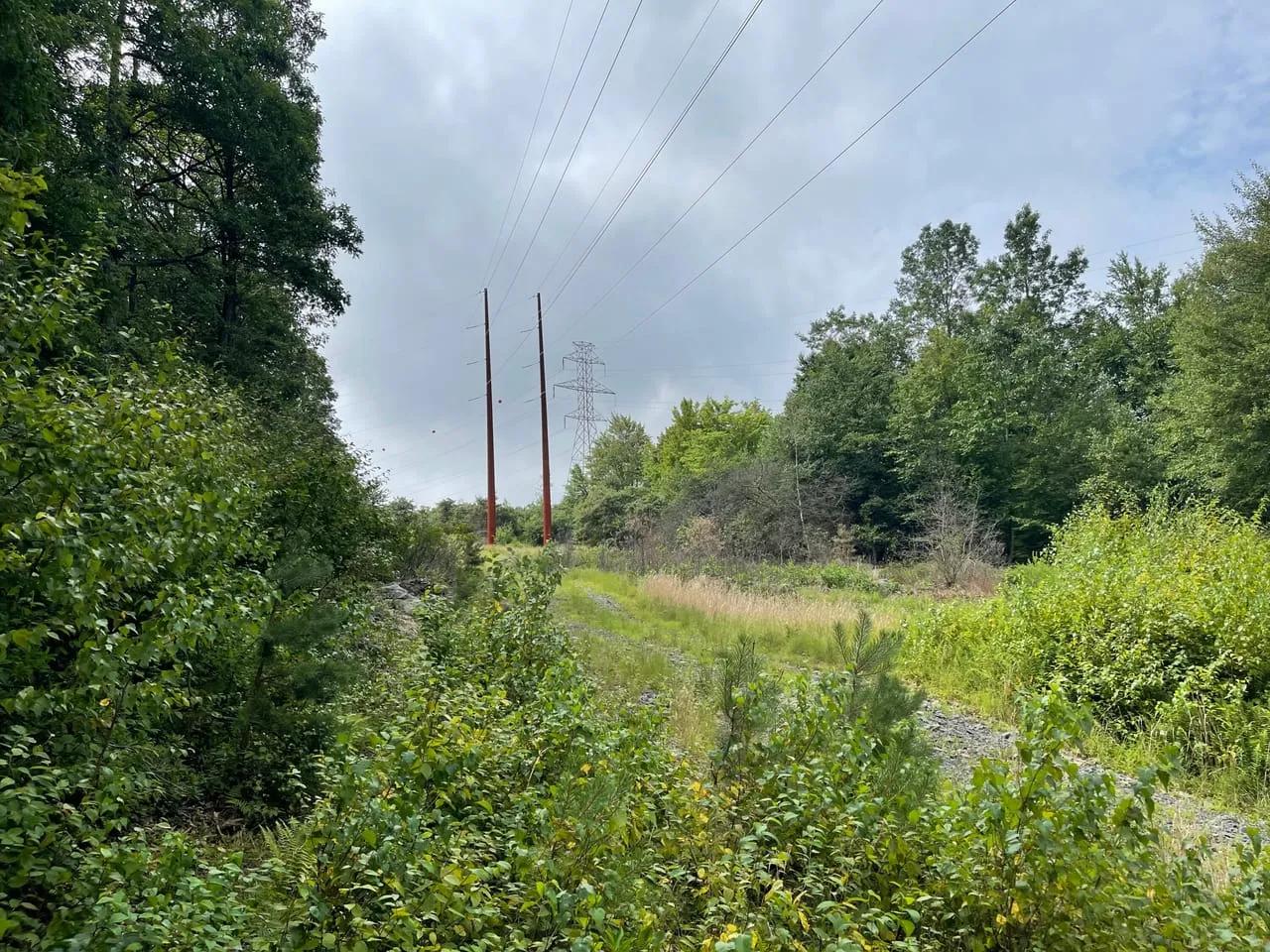 96514300-52