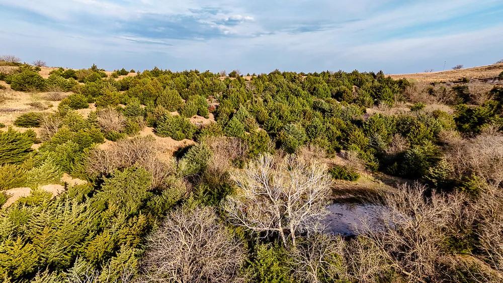 Old Hwy 81 – 80