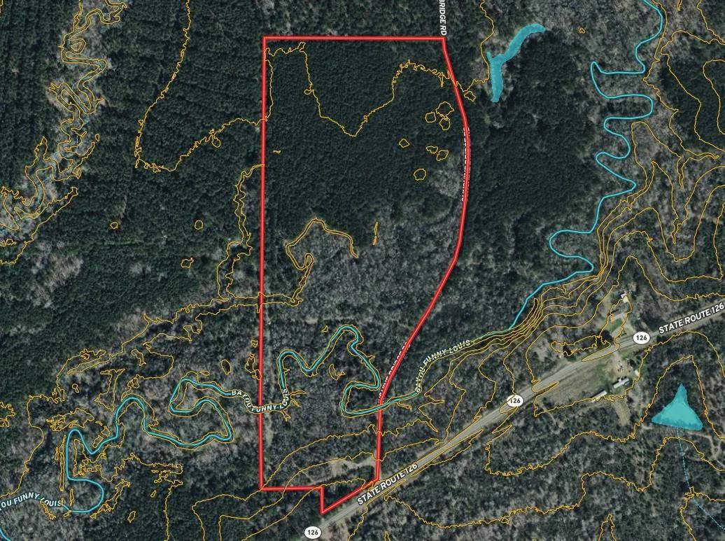 40 ACRES+/- LASALLE PARISH, LA