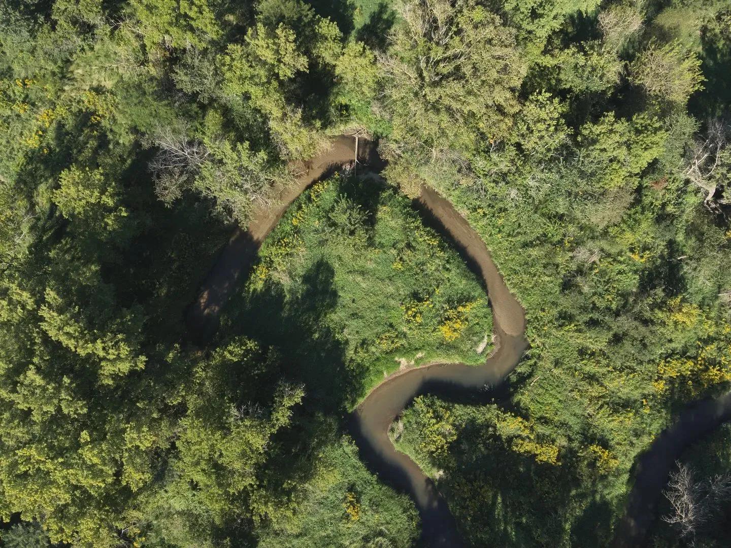 9656956-7