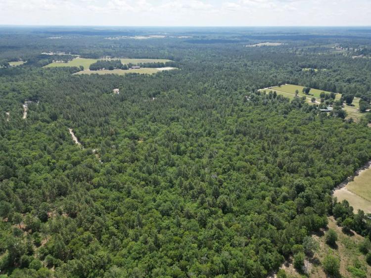 Windsor SC 34 Acres