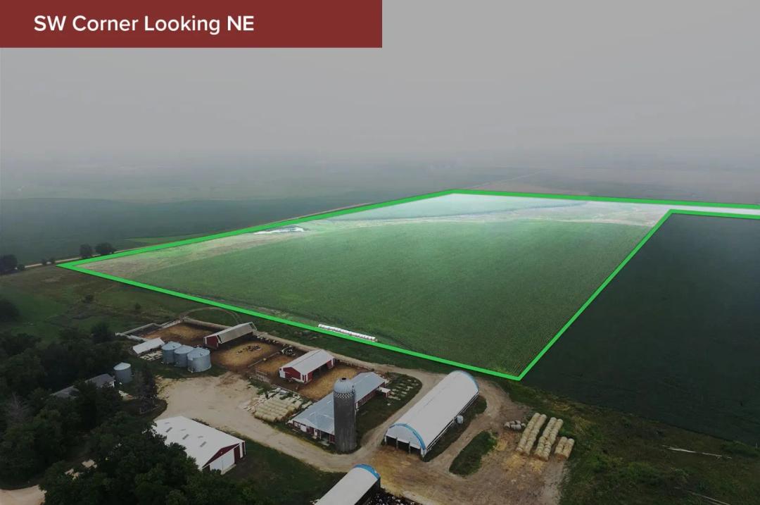 73.75± Acre Farm Sale Pipestone County
