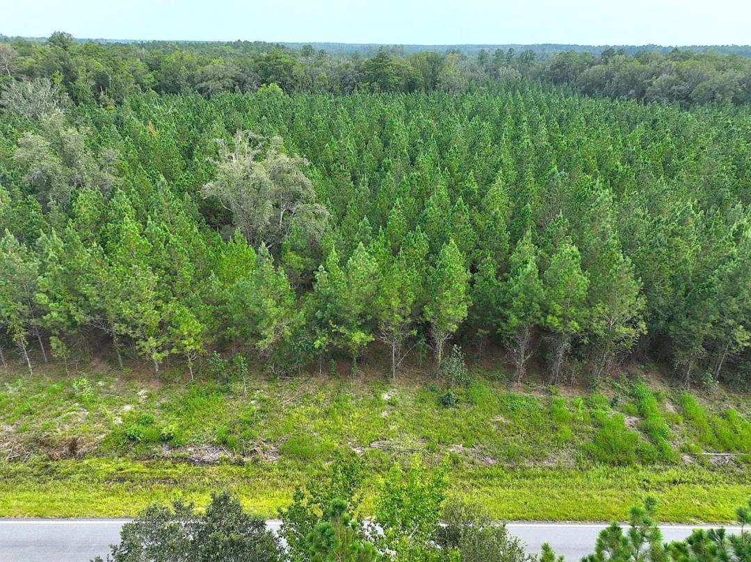 5 +/- Ac GA Hwy 252 White Oak, GA 31568 