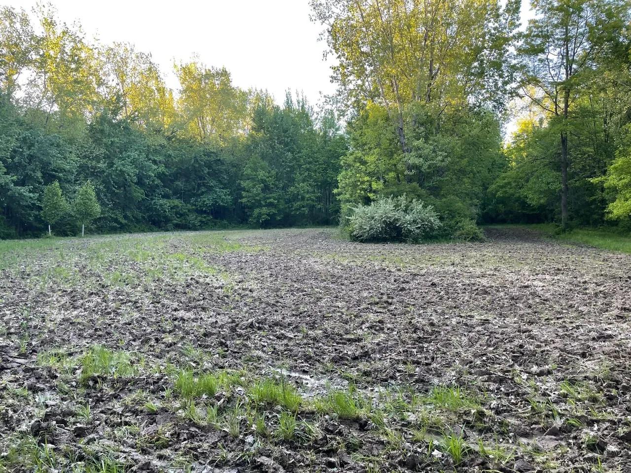 96580883-115