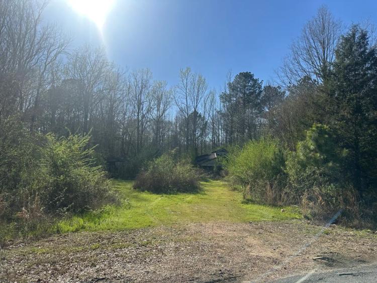 41.00 Acres at 543 Lee Bass Road