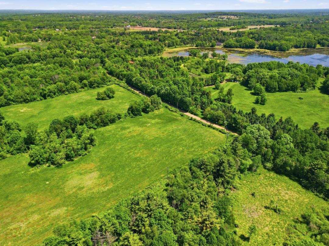 Hagerman Road – Addison Township 60 Acres