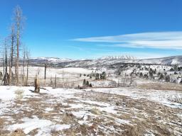 DJI_20250124110258_0852_D-min-min
