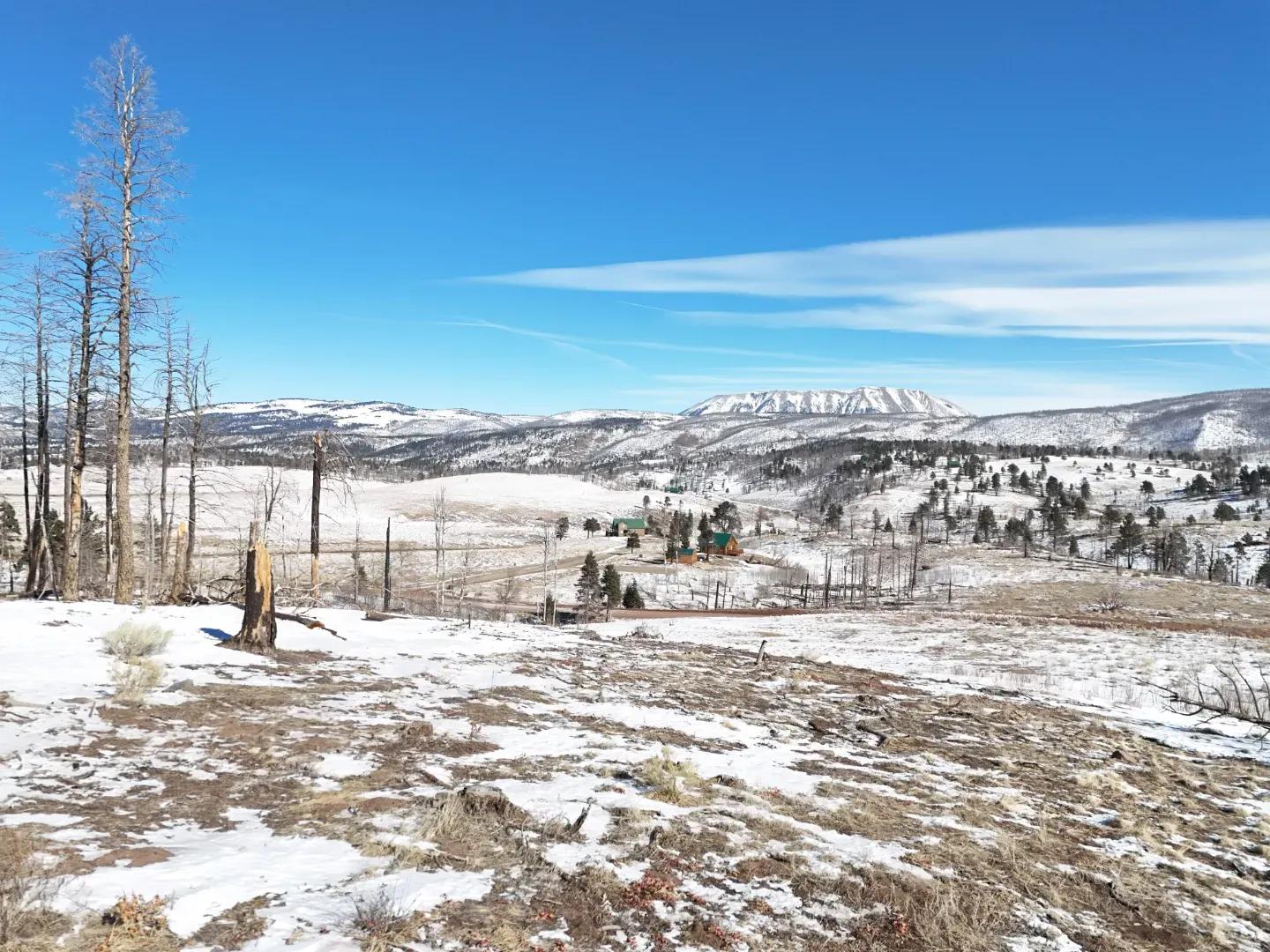DJI_20250124110258_0852_D-min-min
