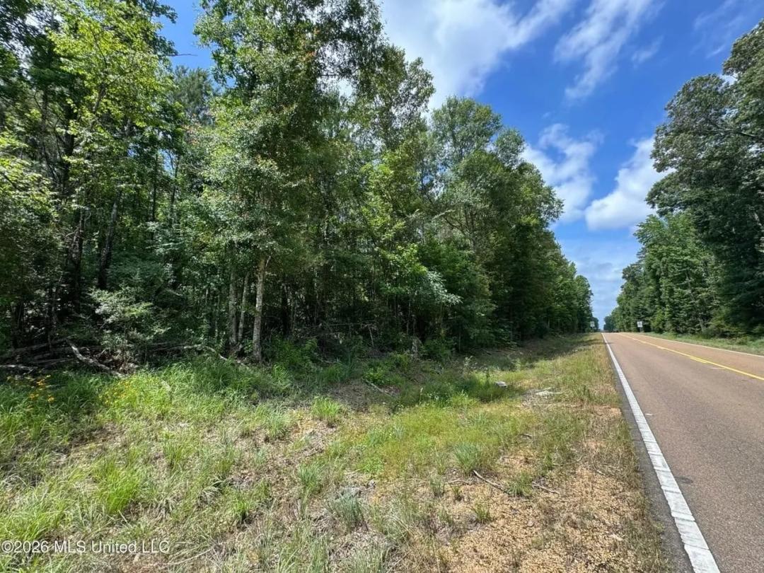 4.25+- Acres for sale in Amite County MS 