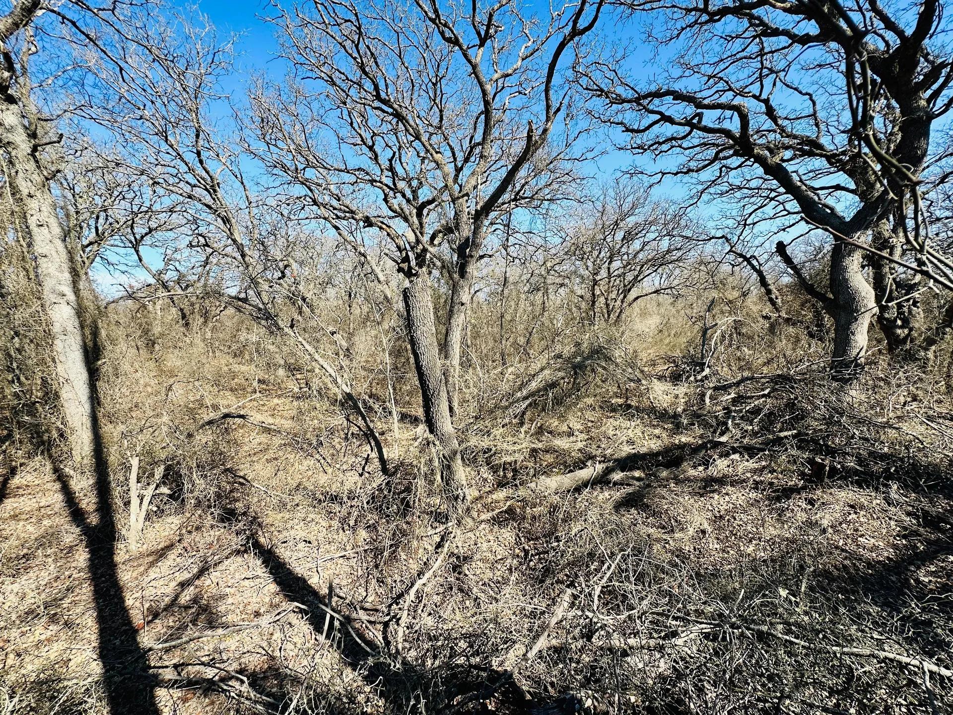 96624683-16