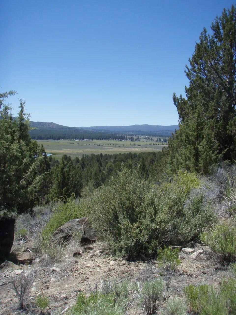 2 adjoining lots with wide open views of Sprague River and Valley