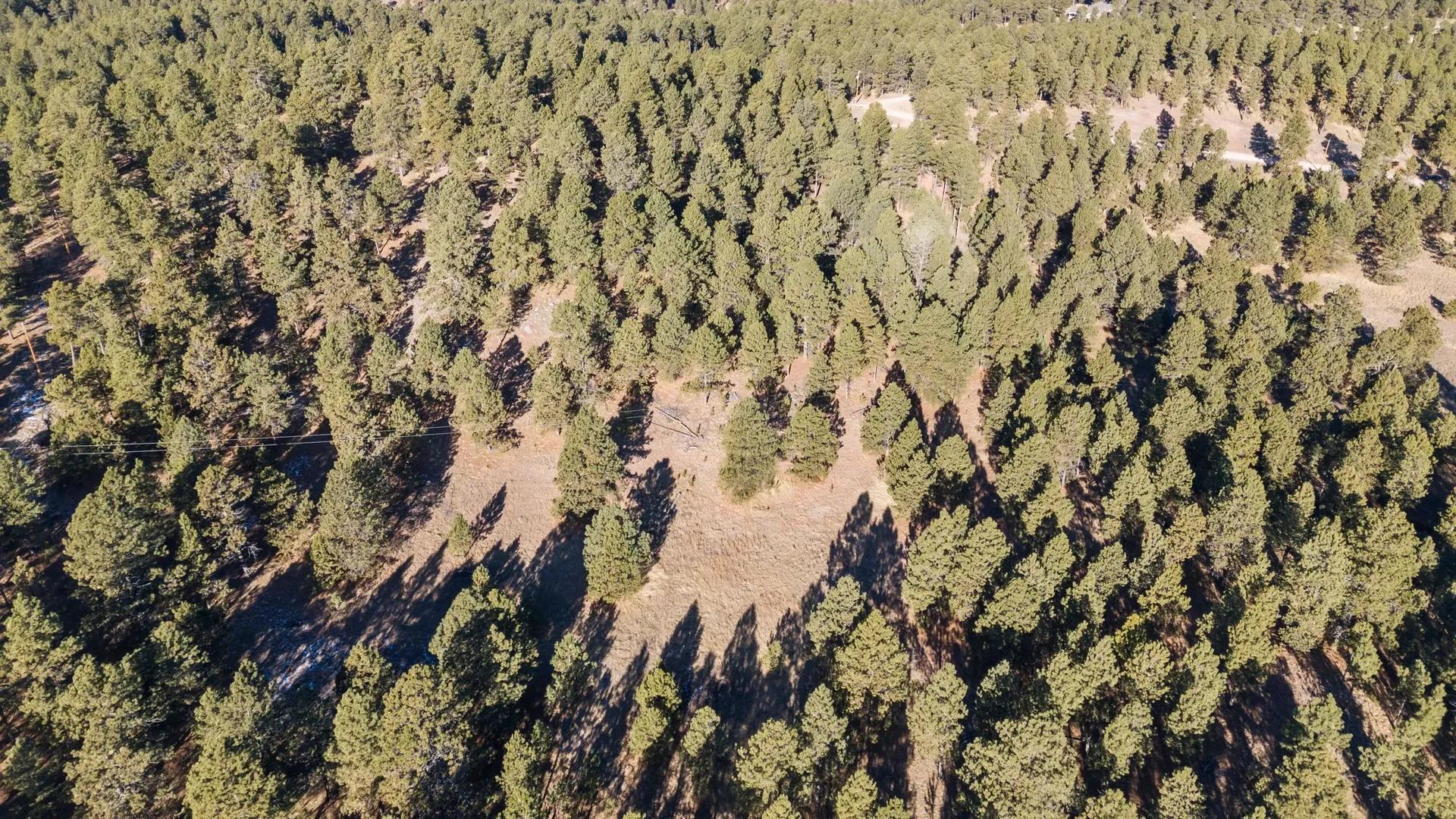 96627421-17