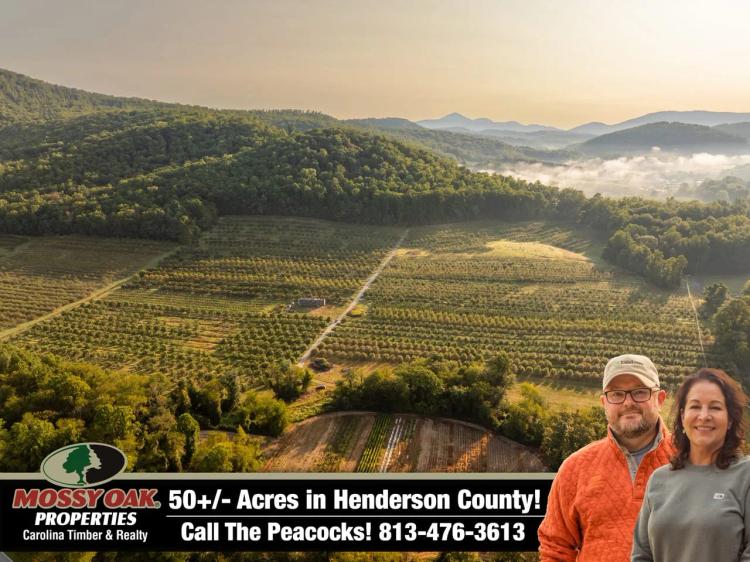 Gorgeous Apple Orchard in Hendersonville!