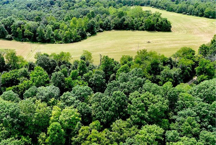 Beautiful Morgan County Farm