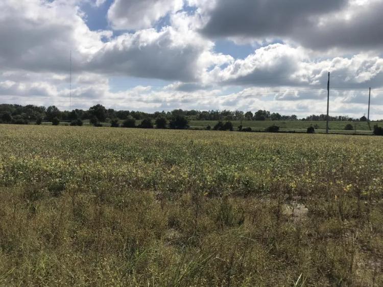 10.50 Acres at 0 Tishomingo St
