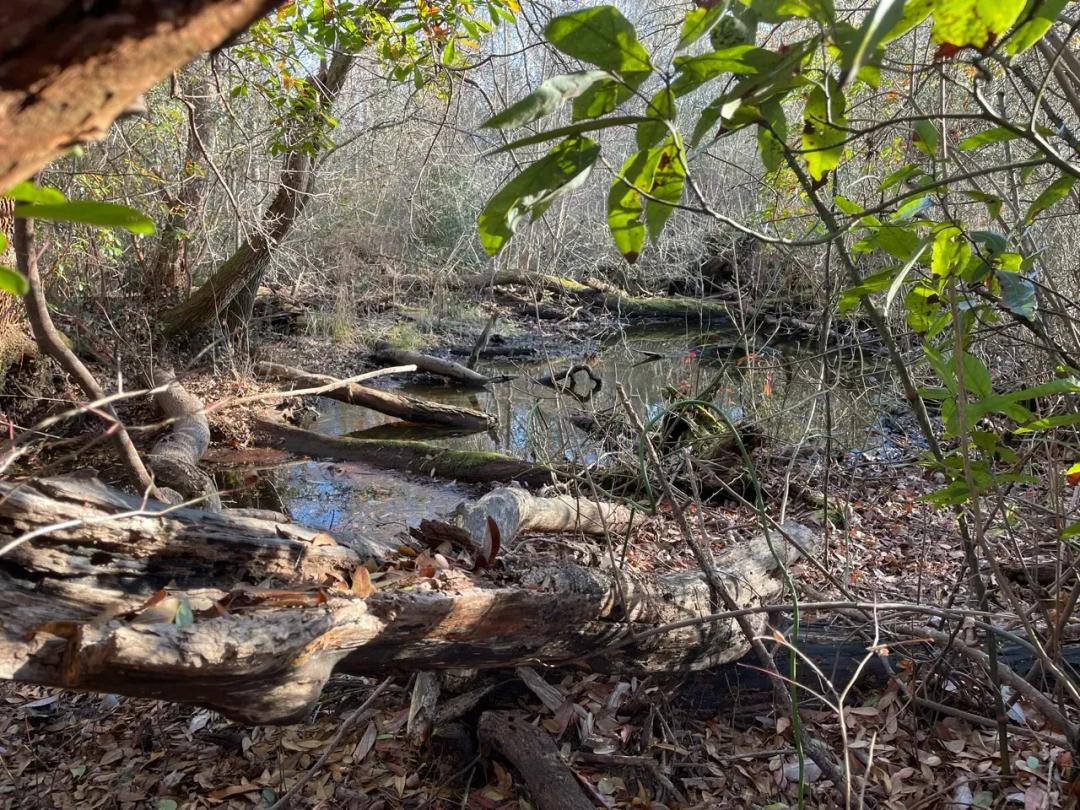 Hunter's Paradise for Sale in Eastern NC