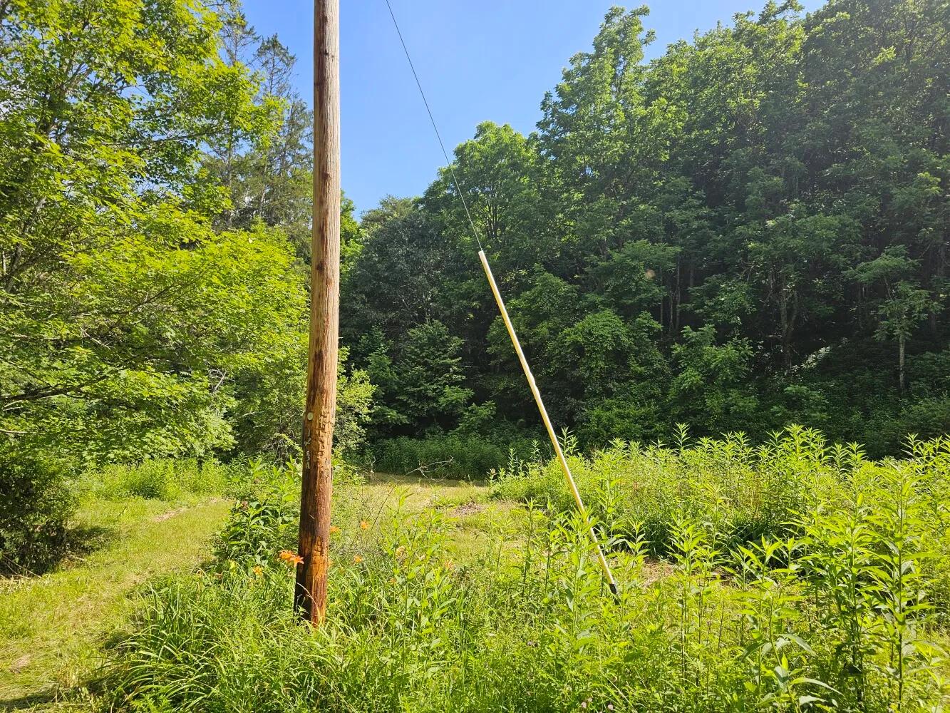 96747245-9
