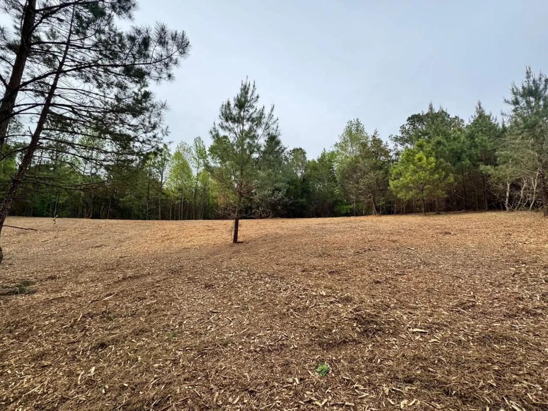 10 Acres with Pond, Mature Timber and Cleared Homesite