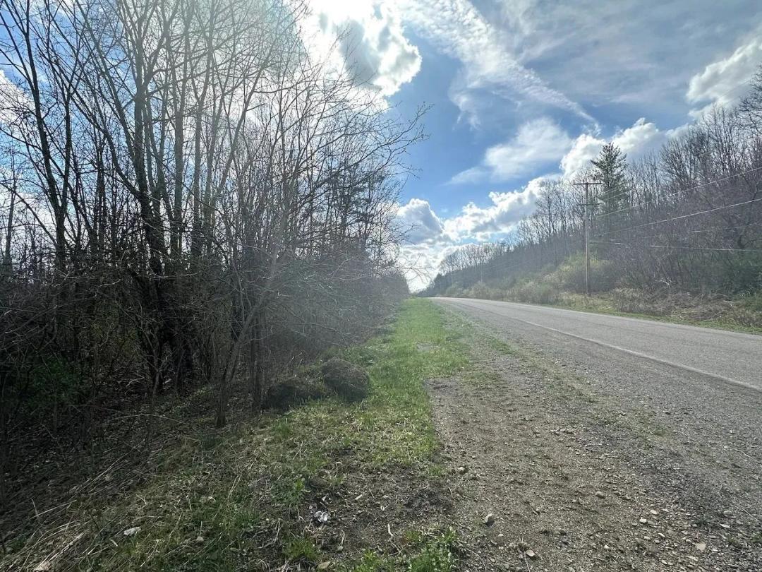 10 acres Hunting Land and Recreational Land in Friendship NY Pigtail Road