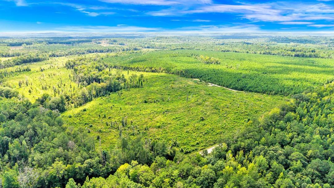 310 +/- Acres- in the Oaky Streak Community of Butler County, AL