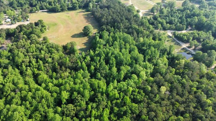 31 +/- Acres Lee County, AL