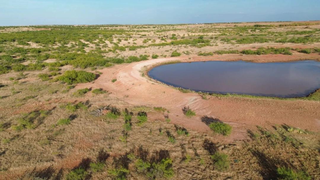 NEW LISTING!! 58 +/- Ac TBD CR 218, Seymour
