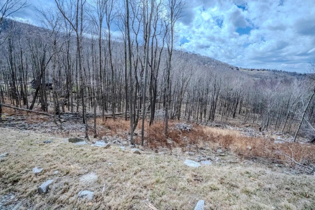 EAGLES NEST - FLAT VACANT LOT - EASY BUILD - LONG RANGE VIEW