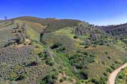 The Hill