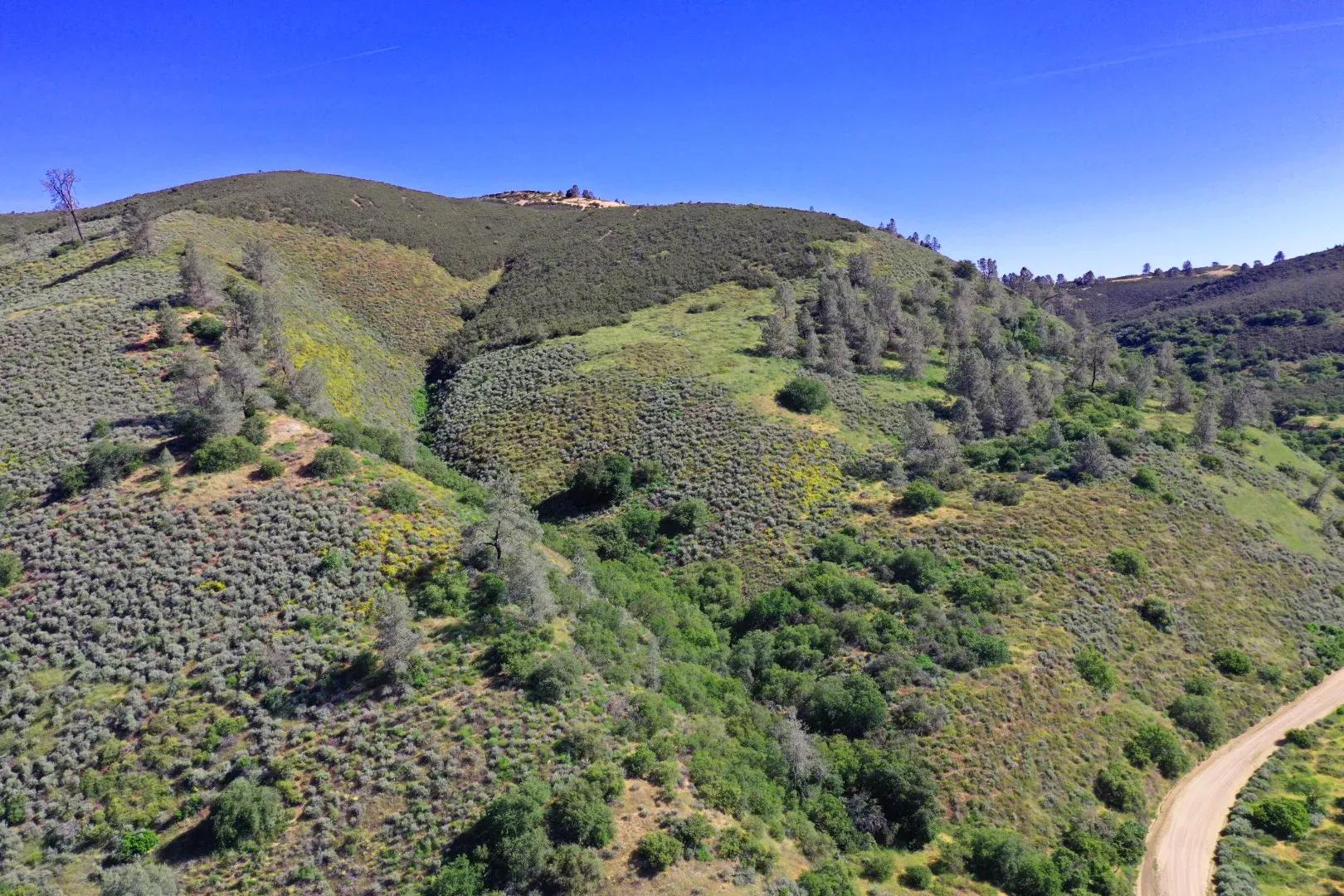 The Hill