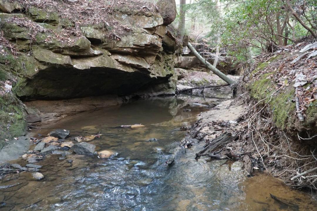Secluded Property with Beautiful Creek and Bluffs