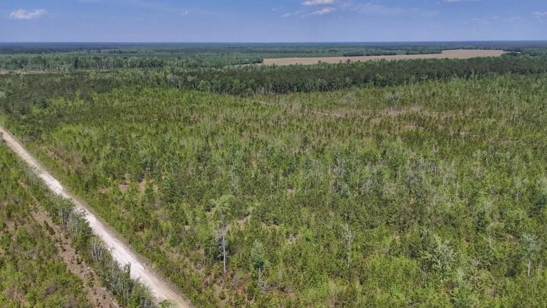 25 acres of Recreational Timberland For Sale in Craven County!