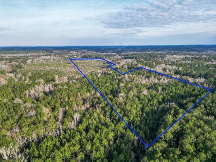 Land for Sale in Amite County, MS