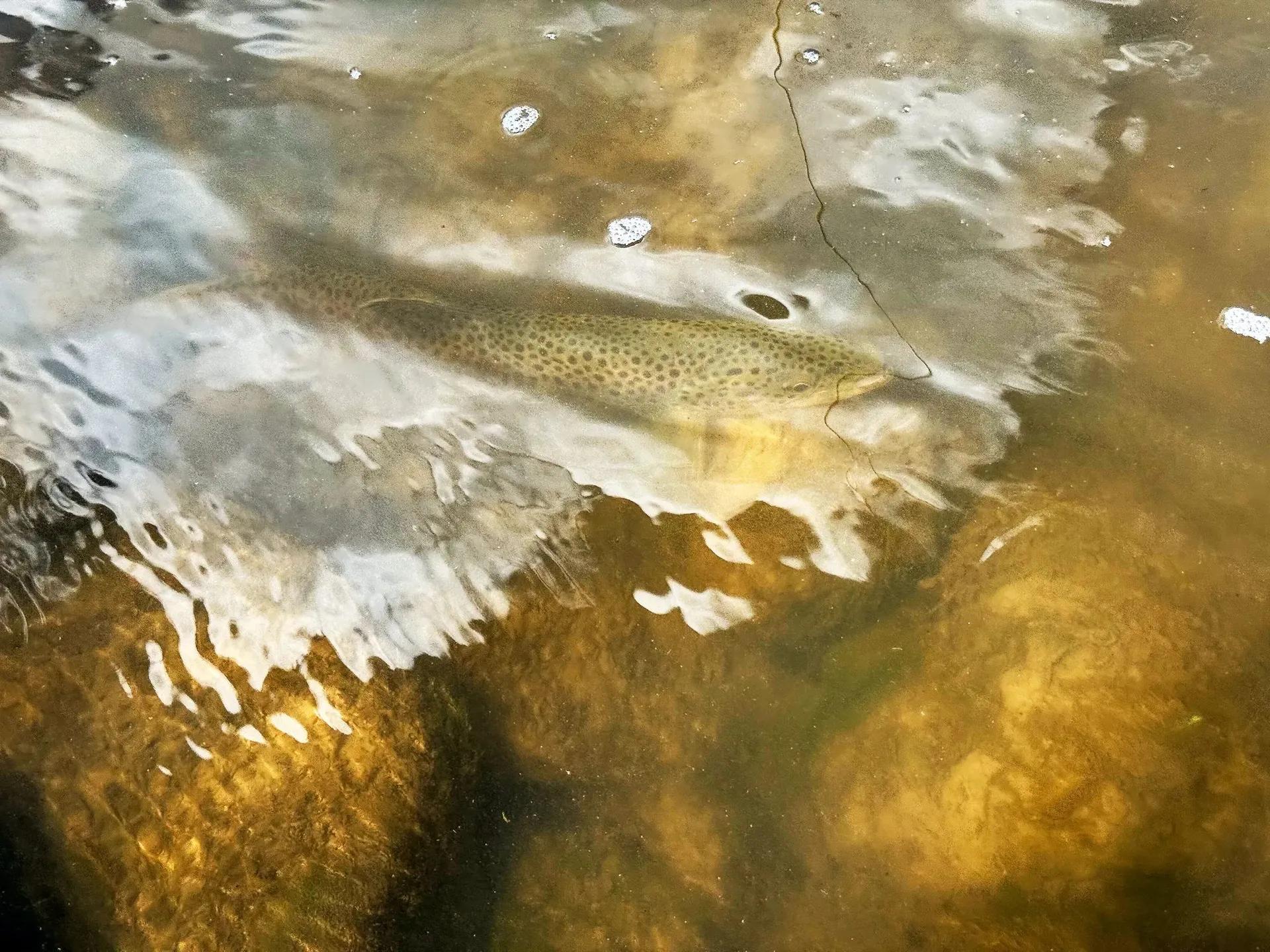 97046048-8