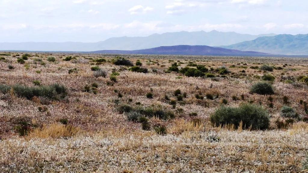 2 Adjoining 40 Acre Parcels - Willow Creek Canyon Area - West Of Lovelock