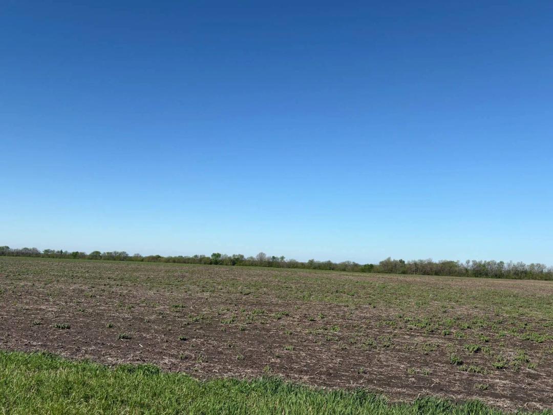 Productive Farmland!
