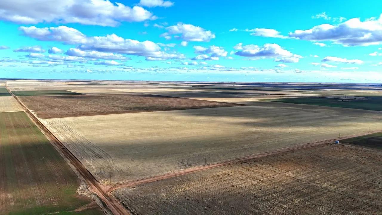 97097415-8