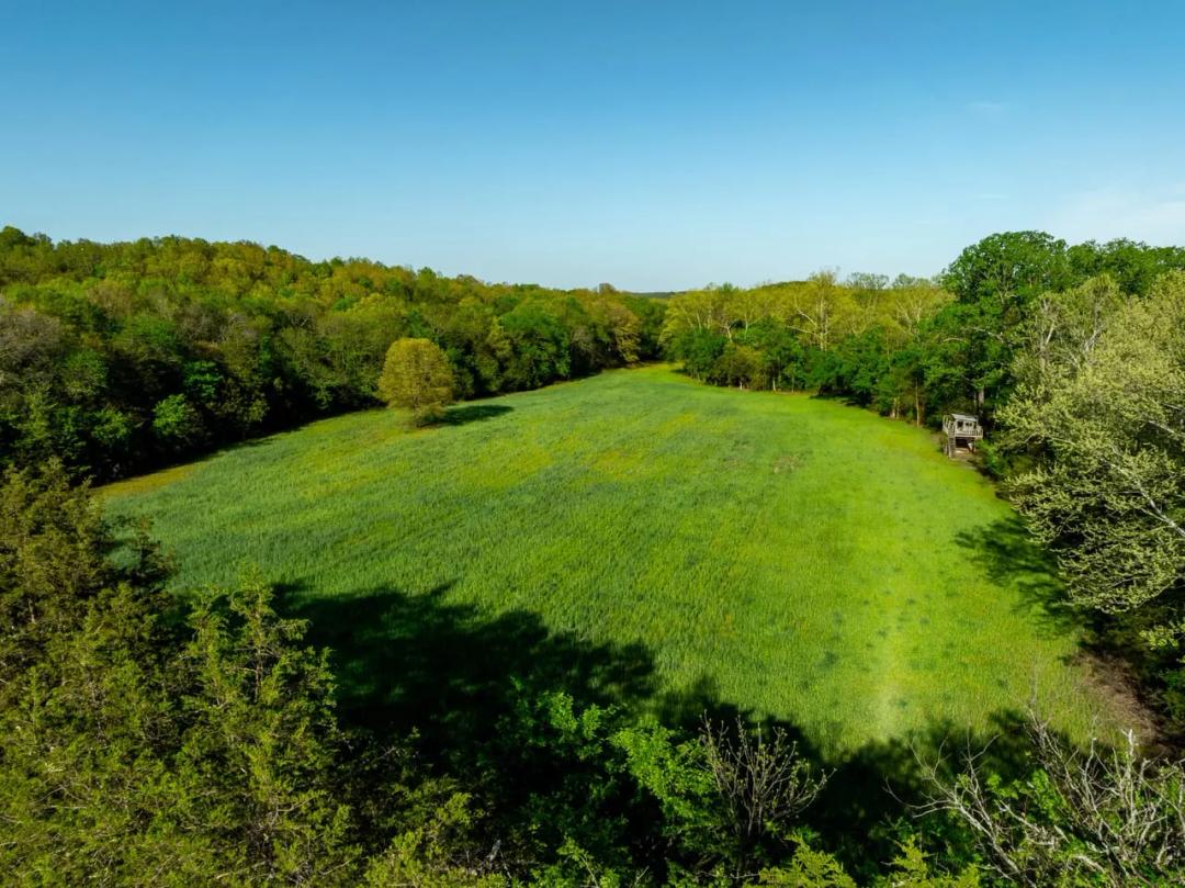 40 +/- Acres, Year Round Creek, Pasture, Woods, Paved Road Frontage, Evening Shade, Arkansas