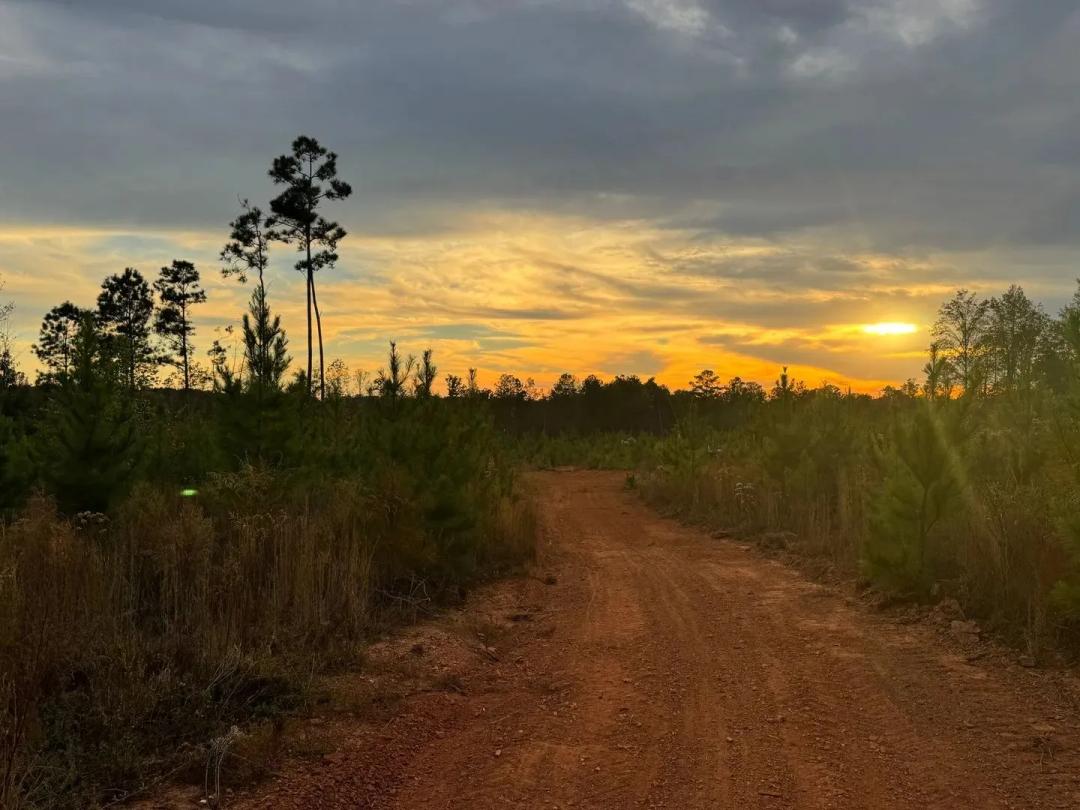 20.98 Acres, Germanys Ferry Road, Daviston, Tallapoosa County
