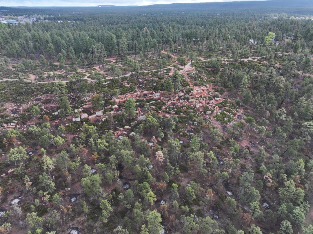 Pinetop Development Ground
