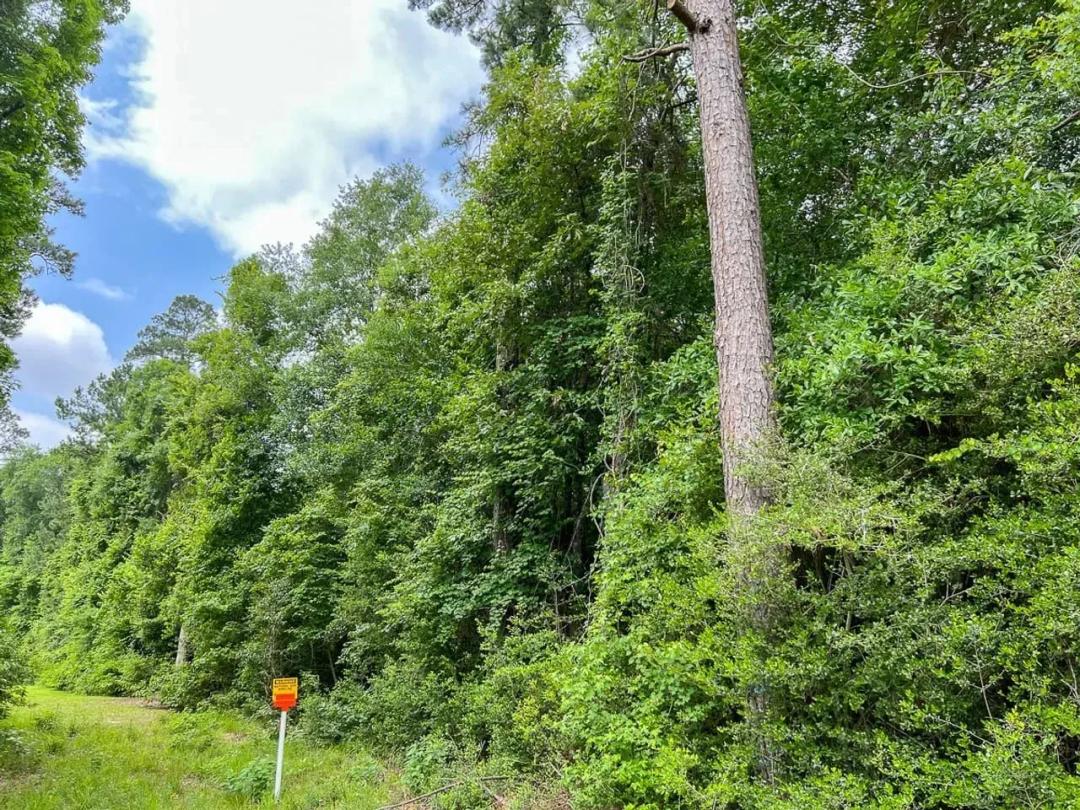 52 Acres | FM 2937 | C-4 | Silsbee Stake
