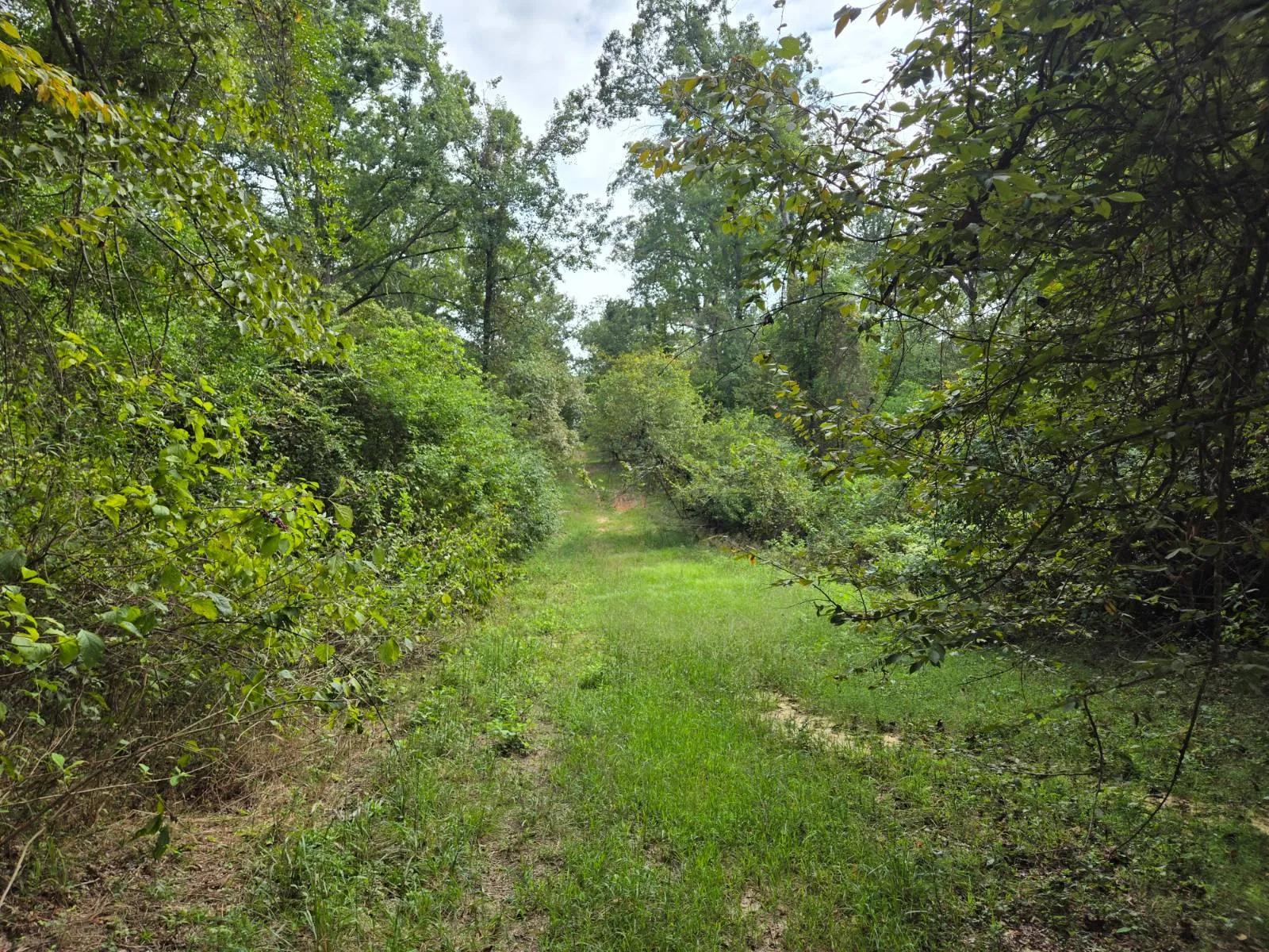 97153347-19