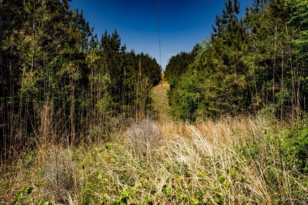 Burntfields Road 12.05 Tract 7