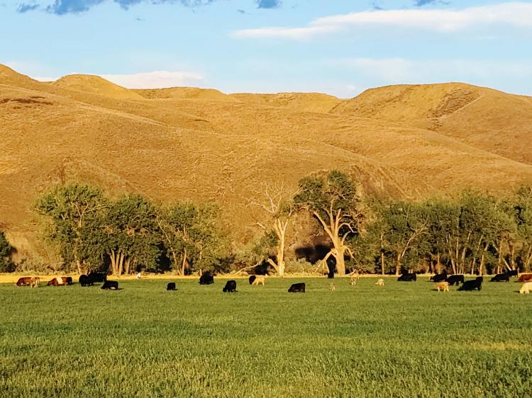 Lazy K-6 Ranch