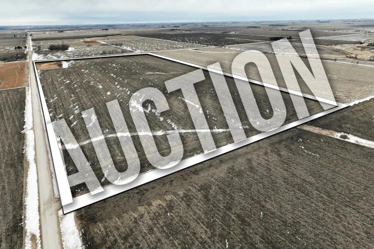 Cerro Gordo County 80 +/- Acres